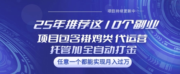 25年推荐这10个副业项目包含褂鸡类、代运营托管类、全自动打金类【揭秘】-一支烟资源站