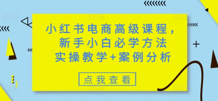 小红书电商高级课程，新手小白必学方法，实操教学+案例分析-一支烟资源站
